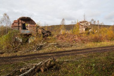 Terk edilmiş bina bitkilerle dolu.