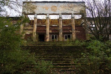 Terk edilmiş bina bitkilerle dolu.