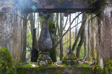 Eski taş çitler yosun ile kaplanmış.