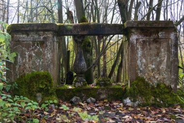 Eski taş çitler yosun ile kaplanmış.
