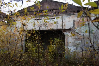 Terk edilmiş bina bitkilerle dolu.