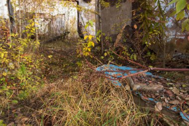 Terk edilmiş bina bitkilerle dolu.