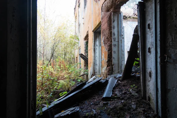 Abandoned Building Overgrown Plants — Stock Photo, Image