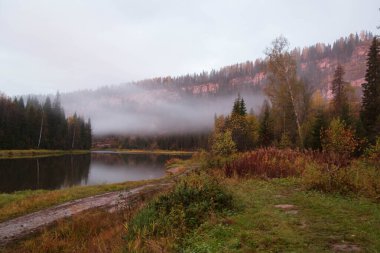 Şafak vakti nehrin etrafındaki orman