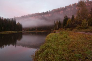 Şafak vakti nehrin etrafındaki orman