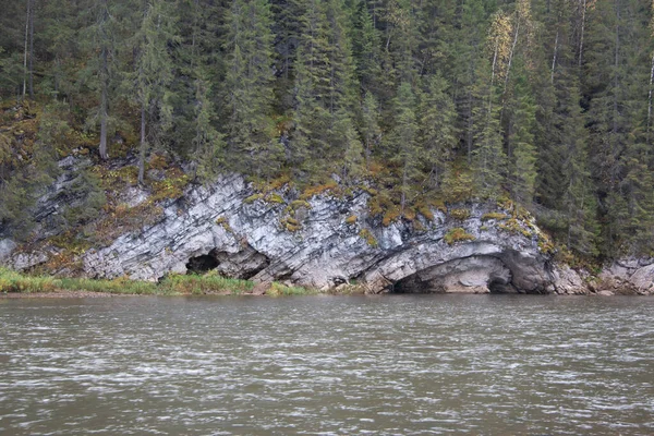 Forêt Autour Rivière Aube — Photo