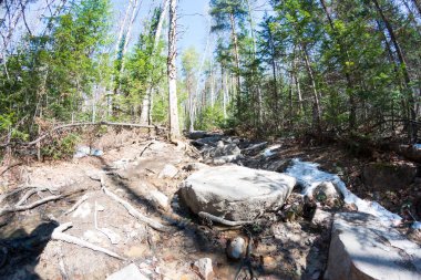 Yedekteki dağlık nehir.