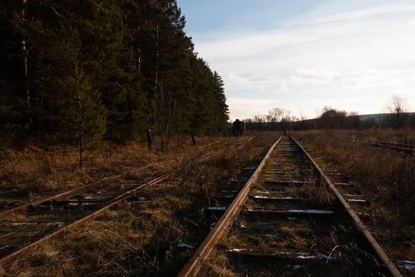 Verlaten Rails Het Veld — Stockfoto