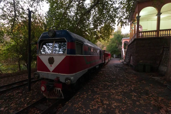 Trenes Abandonados Del Ferrocarril Infantil — Foto de Stock