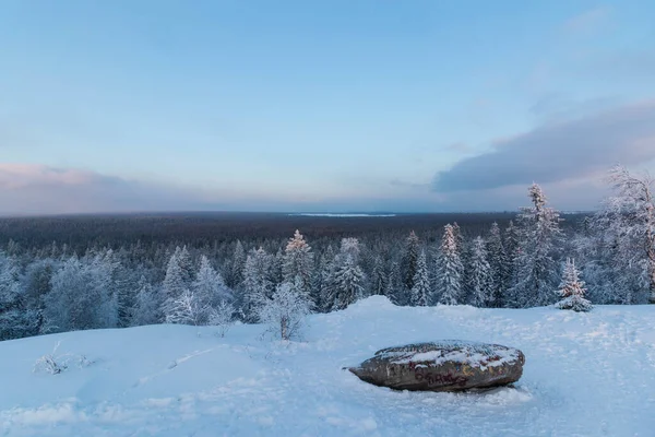 눈덮인 산에서 숲으로 바라본 — 스톡 사진