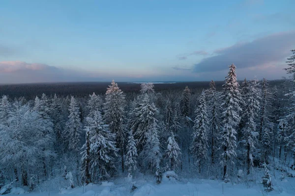 Blick Vom Schneebedeckten Berg Auf Den Wald — Stockfoto