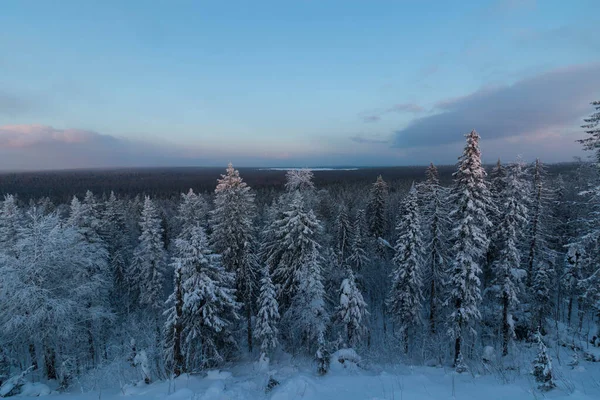 View Snow Capped Mountain Forest — Stock Photo, Image