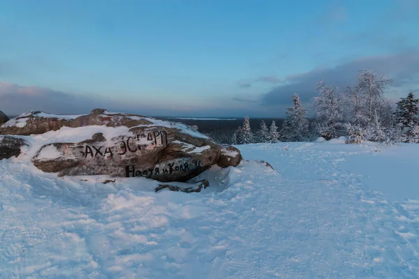 Uitzicht Vanaf Besneeuwde Berg Naar Het Bos — Stockfoto