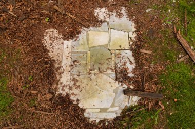 Terk edilmiş bir binanın kalıntıları.