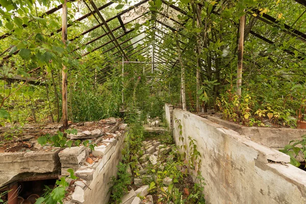 Metal eski ve fazla gelişmiş sera