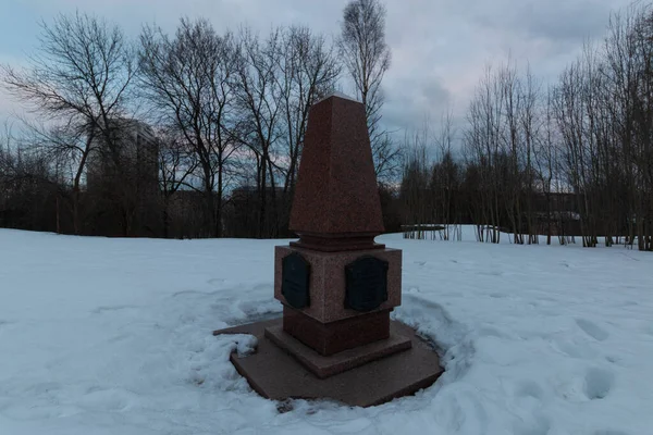 Invierno Sombrío Ciudad Rusia —  Fotos de Stock