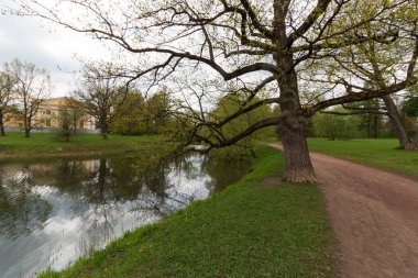 Yazın çimenli ve göletli park