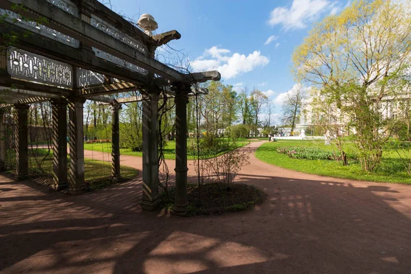 Allee Mit Lebendigem Pflanzenbogen — Stockfoto