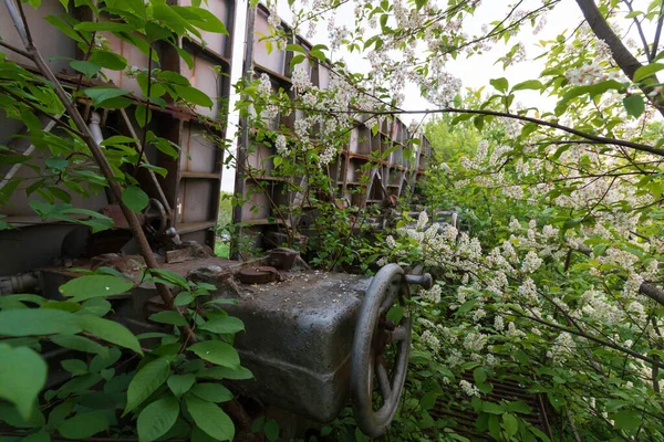 Prato Grande Abandonado Para Comunicação Ecolocalização — Fotografia de Stock