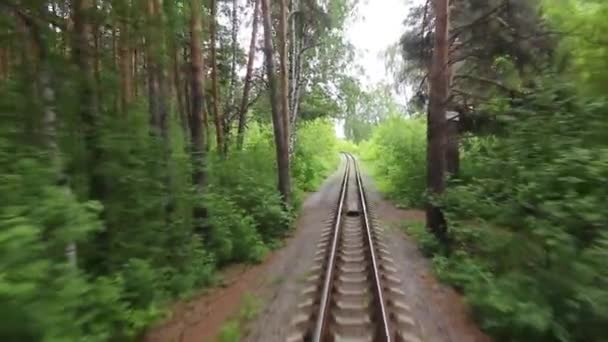 Trenin Rayları Ormanı — Stok video