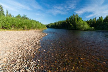 Perm bölgesindeki Vishera Nehri