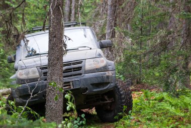 Ormandan geçen bir SUV.