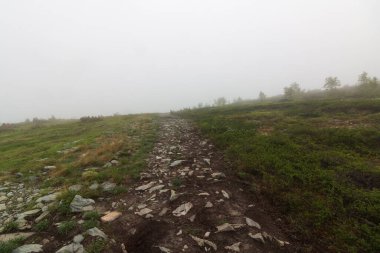 Ural dağlarının manzarası