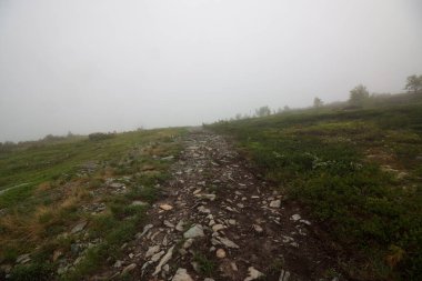 Ural dağlarının manzarası