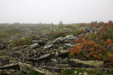 Ural dağlarının manzarası