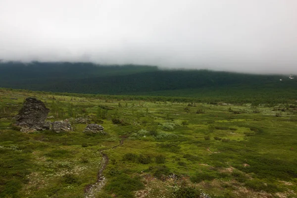 自然の山の谷は — ストック写真