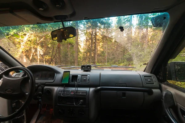 Vista Carro Floresta — Fotografia de Stock