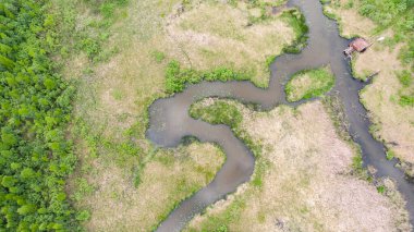 Ormanın yanındaki güzel kıvrımlı nehir.