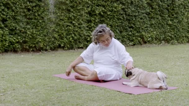 Asiática Anciana Jugar Con Perros Jardín — Vídeo de stock