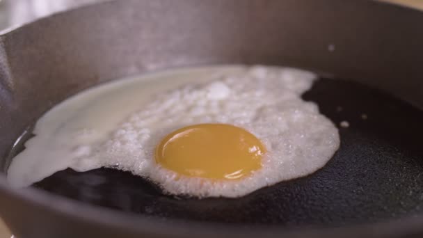 식사로 프라이팬에 달걀을 클로즈업한다 — 비디오
