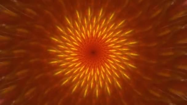 Video Astratto Con Dettagliato Trippy Incandescente Spirale Floreale Come Modello — Video Stock