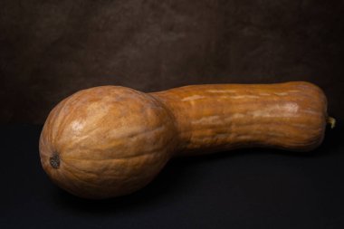 Siyah bir yüzey üzerinde olgun bir balkabağı. Uzun balkabağı. Sonbahar sebzesi.