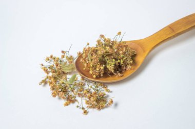 Beyaz arka planda kurumuş ıhlamur ağacı. Tahta kaşıkta kurumuş ıhlamur. Şifalı bitkiler..