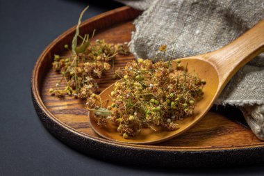 Tahta kaşıkta kurutulmuş ıhlamur. Ahşap bir yüzeyde Linden. Şifalı bitkiler..