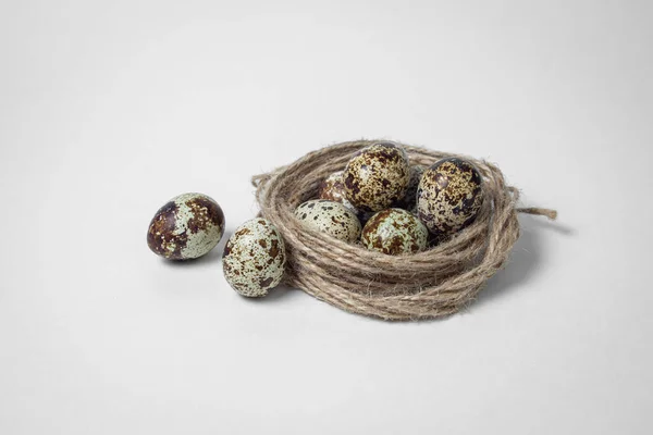 Перепелиные Яйца Белом Фоне Здоровое Питание Перепелиные Яйца Лежат Гнезде — стоковое фото