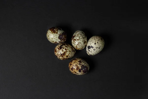 Перепелиные Яйца Черном Фоне Здоровое Питание Несколько Перепелиных Яиц Лежат — стоковое фото