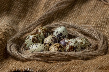 Çuval bezinde bıldırcın yumurtası. Sağlıklı yiyecekler. Bıldırcın yumurtaları jüt ipliği yuvasında yatar.