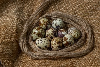 Çuval bezinde bıldırcın yumurtası. Sağlıklı yiyecekler. Bıldırcın yumurtaları jüt ipliği yuvasında yatar.