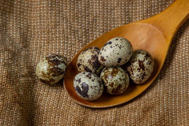 Çuval bezinde bıldırcın yumurtası. Sağlıklı yiyecekler. Tahta kaşıkta bıldırcın yumurtası.