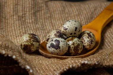 Çuval bezinde bıldırcın yumurtası. Sağlıklı yiyecekler. Tahta kaşıkta bıldırcın yumurtası.