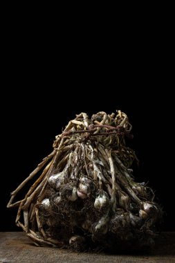 Siyah arka planda sarımsak. Toprak parçalı kurutulmuş sarımsak. Sağlıklı sebzeler