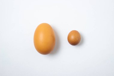 Beyaz arka planda tavuk yumurtası. Büyük bir yumurtanın yanında küçük bir yumurta. Farklı boyutlarda