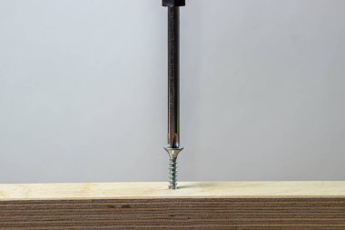 Ahşap. Bir tornavida kendini beceren bir vidayı ağaca çakar. İstihdam kavramı