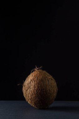 Siyah arka planda izole edilmiş hindistan cevizi. Karanlık bir arka planda bir hindistan cevizi. Sağlıklı meyve