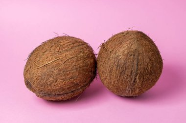 Pembe arka planda izole edilmiş hindistan cevizi. Görüntünün ortasında iki hindistan cevizi var. Sağlıklı meyve