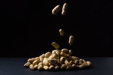 Siyah arka planda yer fıstığı. Bir fıstık fıstık yığını üzerine düşer. Kabuklu fıstıklar